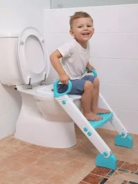Den haven potty toilet seat clearance