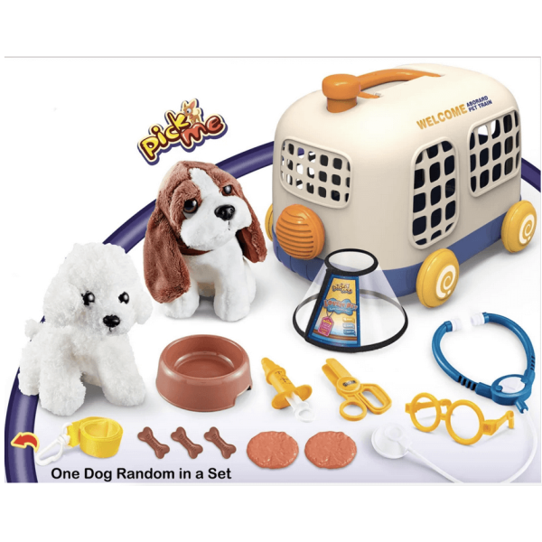Dog people box deals