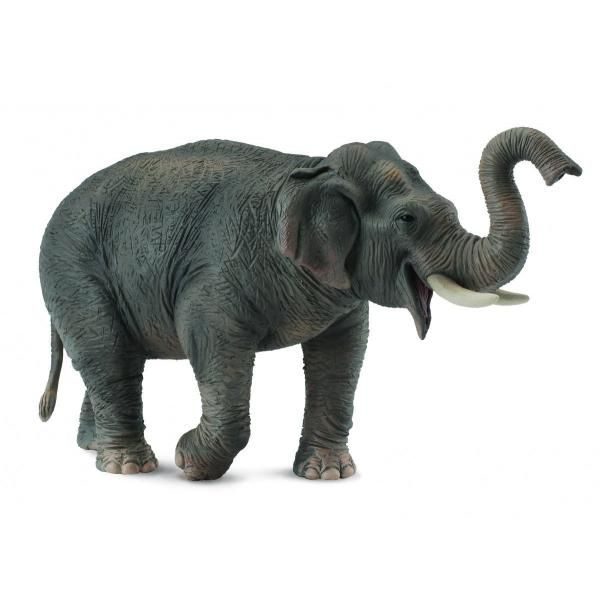 Asian Elephant From first day of motherhood